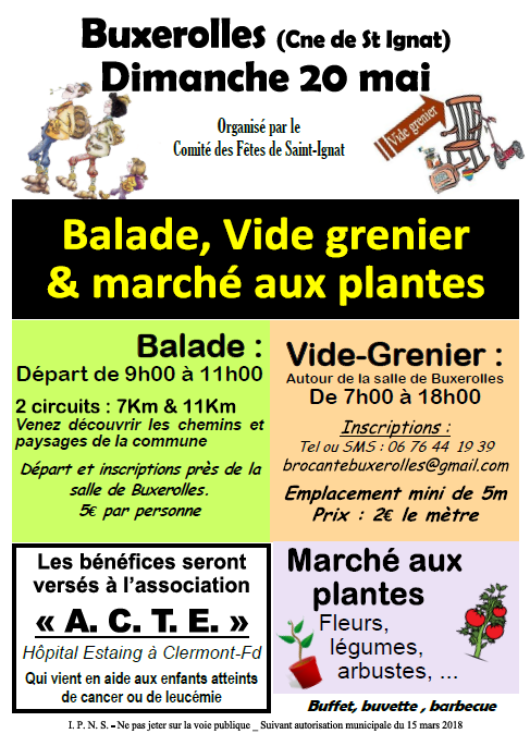 Balade, vide grenier et marché aux plantes