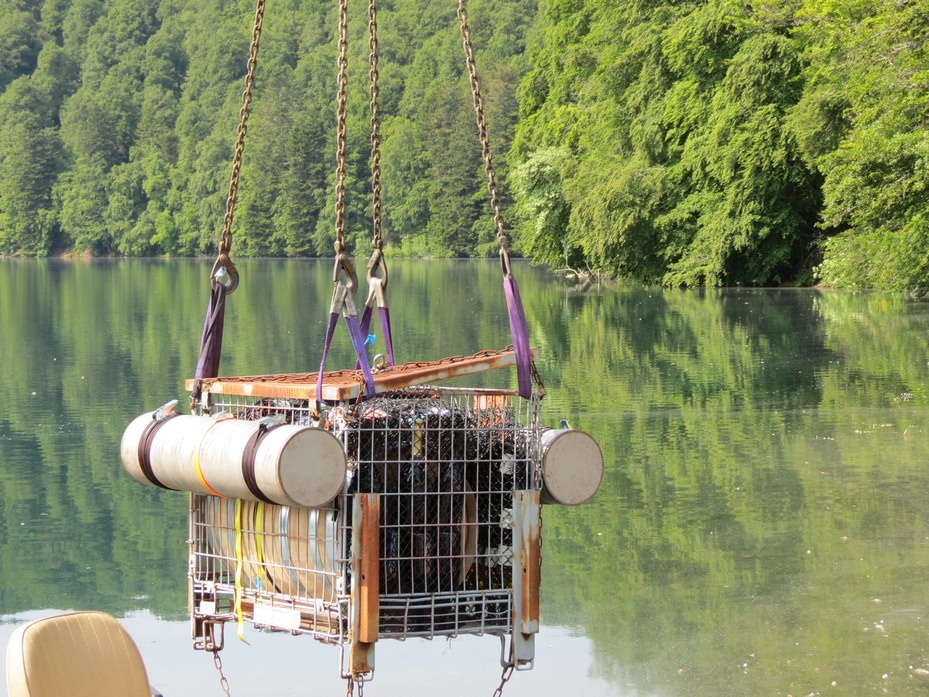 Vin immergé au Lac Pavin