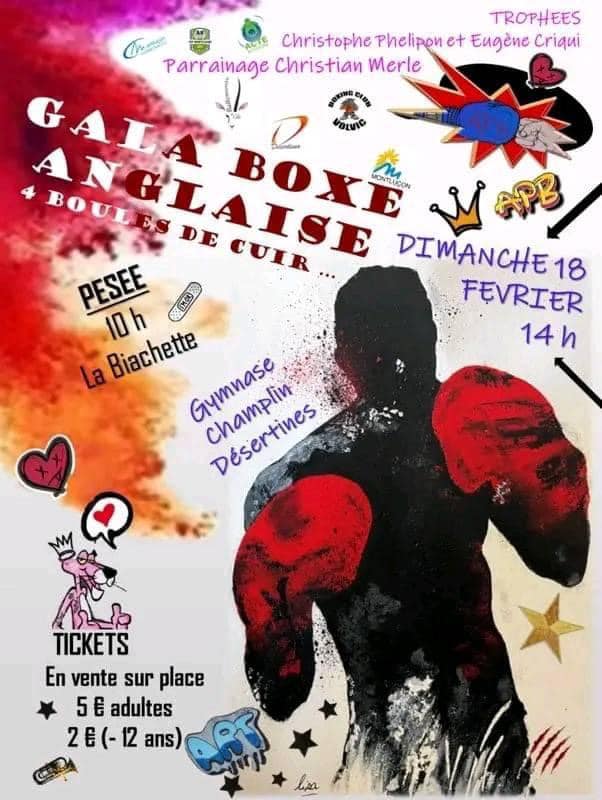 Gala de boxe anglaise