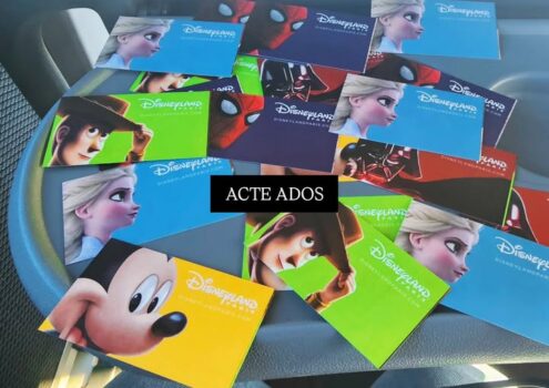 ACTE Ados à Euro Disney